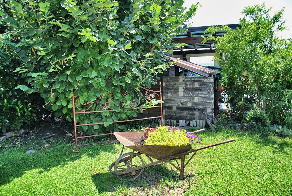La Corte Del Macero Castelfranco Emilia Zewnętrze zdjęcie